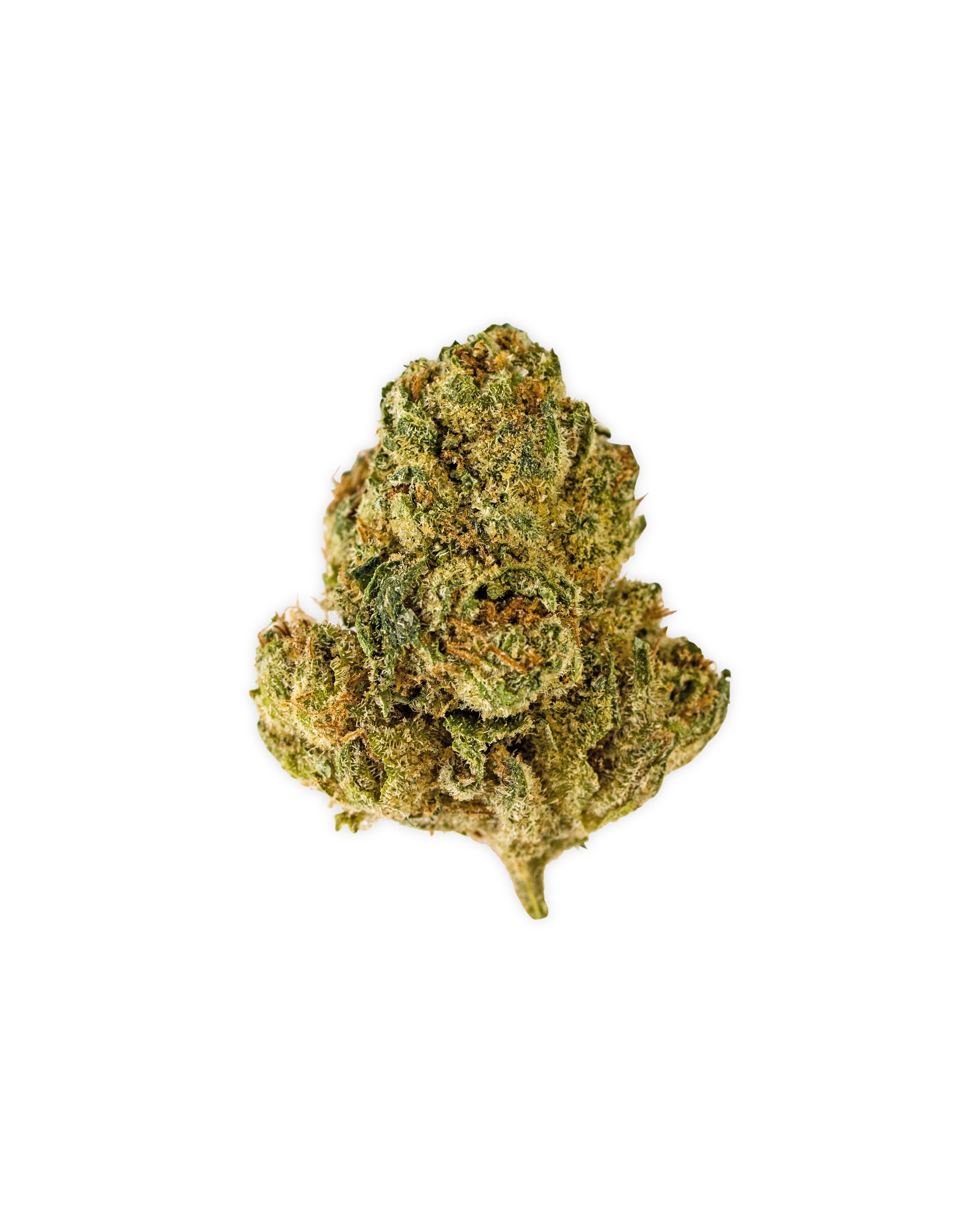 Photograph of product: Indoor GIRL SCOUT COOKIES | 14 g - 14g