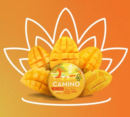 Photograph of product: Camino - Mango Serenity 1:1 TH-oui:CBD 100mg 20pk Gummies