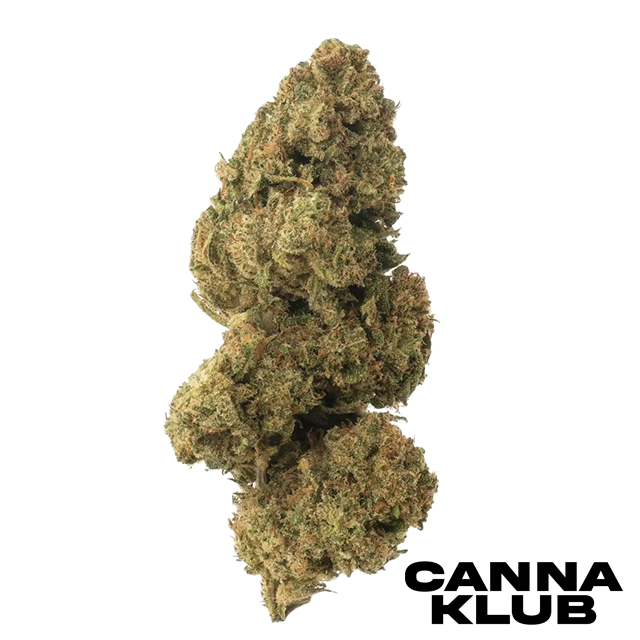 Photograph of product: STEAK SAUCE 14G XL BUDS *2 FOR 160*