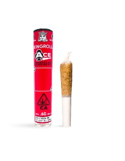 Photograph of product: [Kingroll] Infused Ace Preroll - 0.6g - Cannalope AK x Cannalope Kush (I)