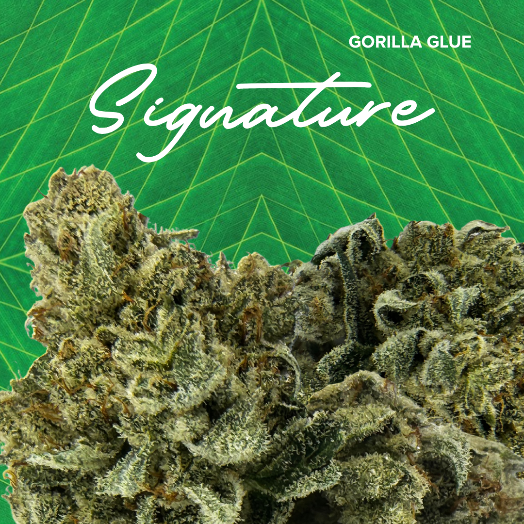 Photograph of product: Signature 3.5g Gorilla Glue