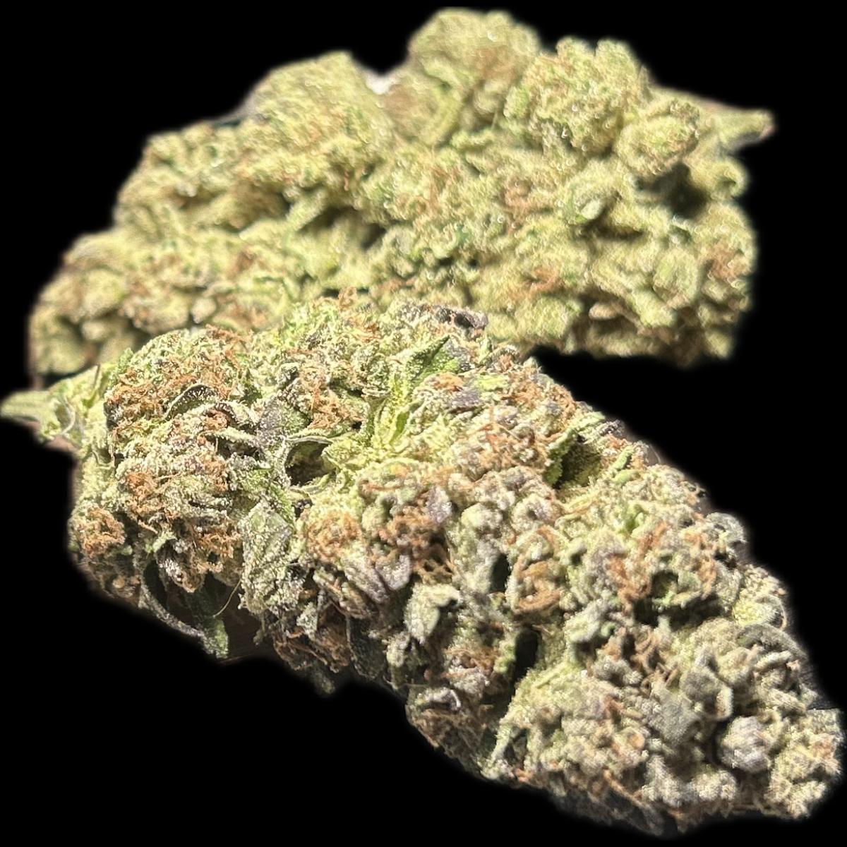 Photograph of product: Green Mountain Oui'd | Nutter Butter | Bulk Flower - 28g