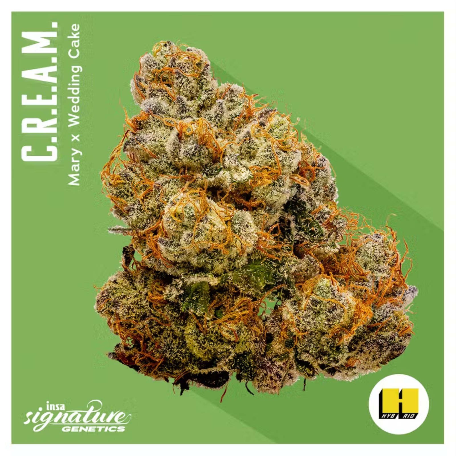 Photograph of product: 3.5g | C.R.E.A.M. | INSA