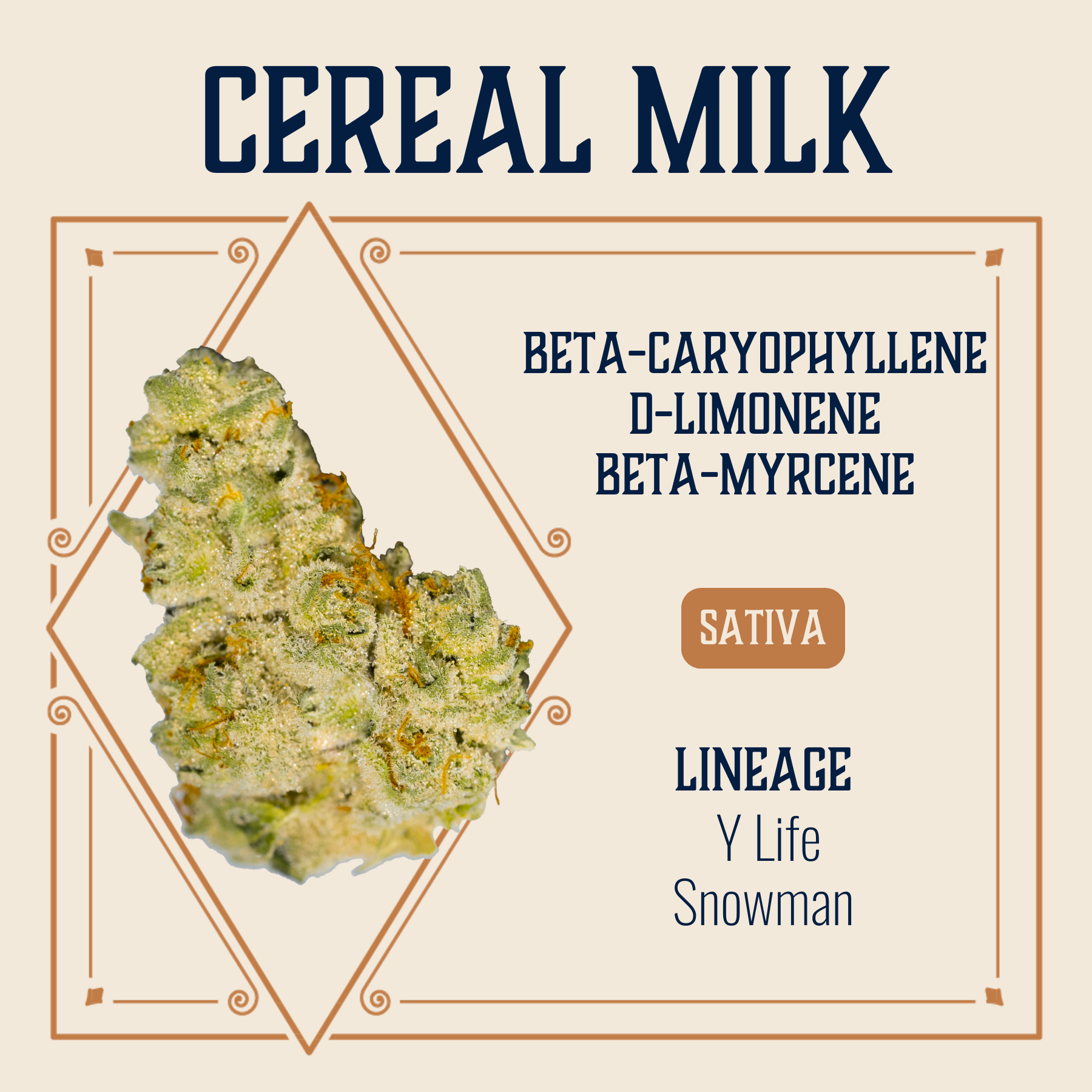 Photograph of product: Cereal Milk Flower | 3.5g
