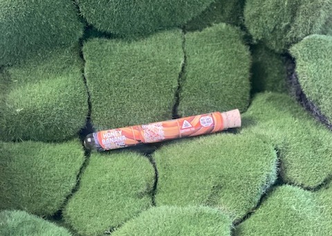 Photograph of product: Pre Roll Single | Honey Banana | Treetop Alliance