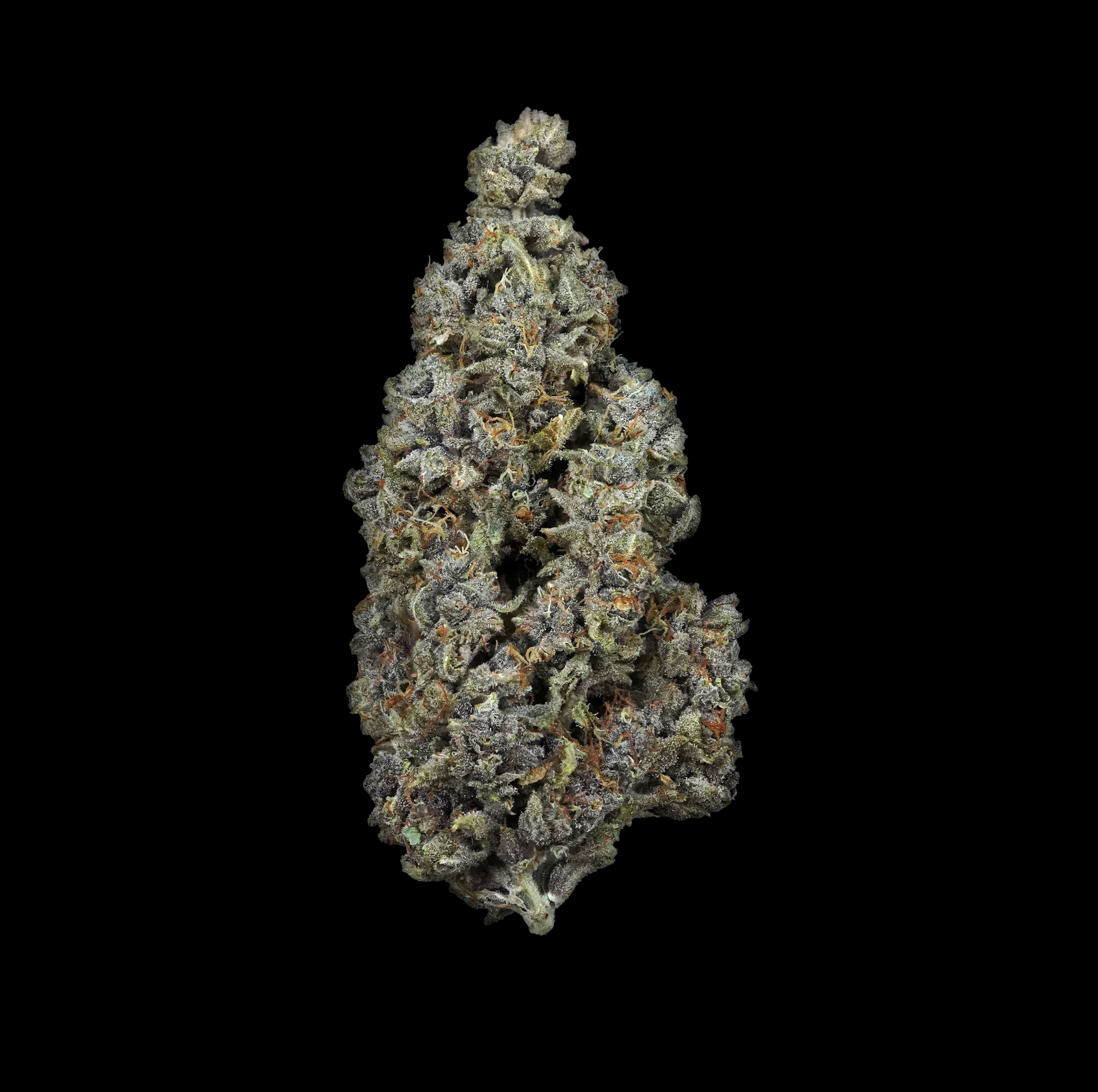 Photograph of product: (BULK) Purple Joker - Oui'd - 28g