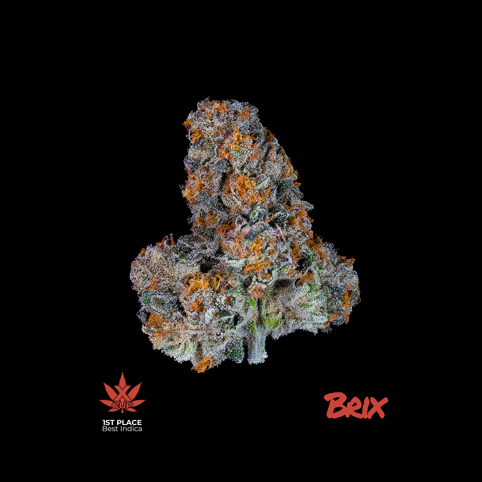 Photograph of product: Mac Stomper Lil' Budz Flower | T20.01% | 00323 - 7g