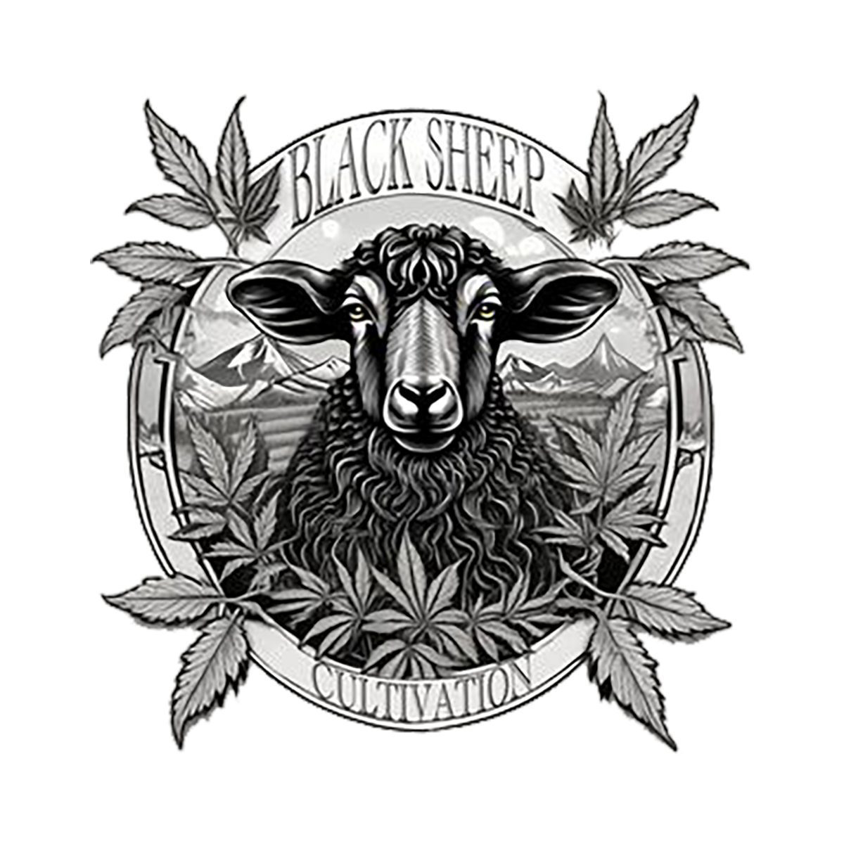 Photograph of product: Ben & Gary's - Black Sheep Cultivation