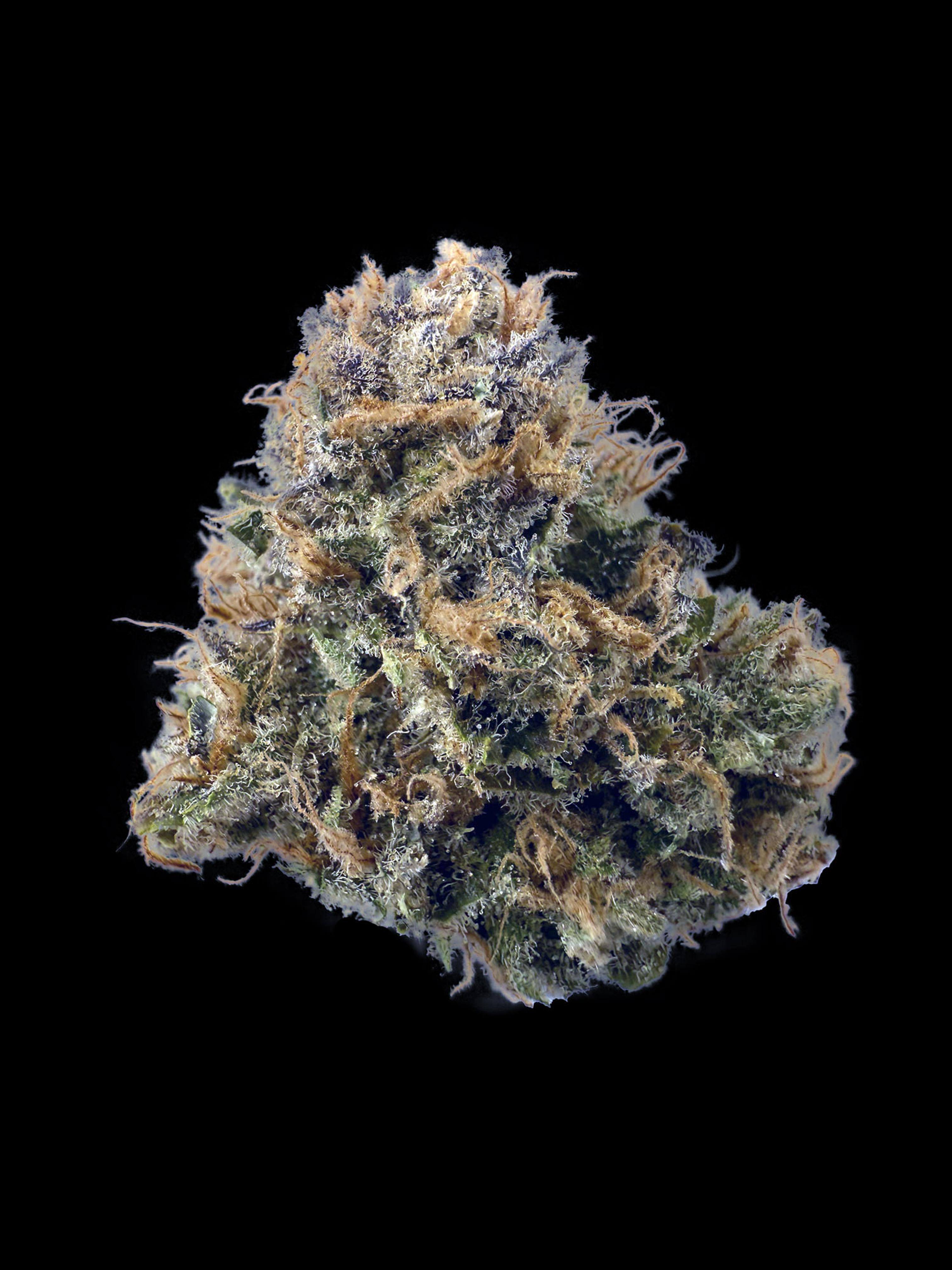 Photograph of product: Gelato Pie (I) - 28g