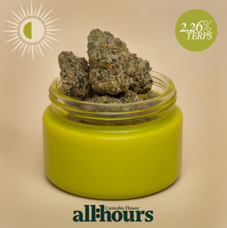 Photograph of product: all:hours Blueberry Cup Cke 4861 - 3.5g