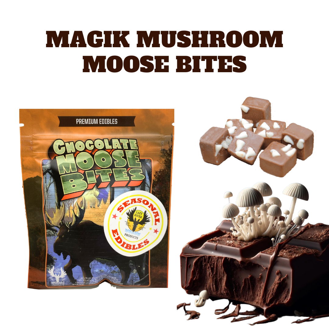Photograph of product: FOCUS 1:1 Magik Mushroom Chocolates - Standard Onset 10pk (TAX INCLUDED)