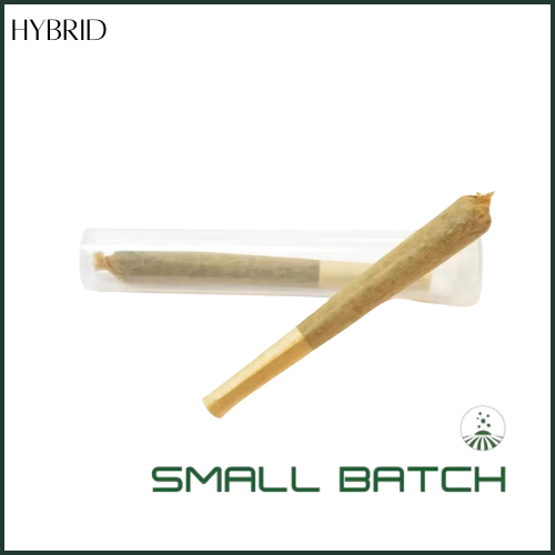 Photograph of product: Molecular Farms | Ms. Wonderful | Pre-Roll