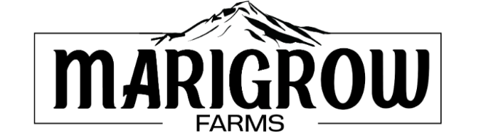 Photograph of product: MariGrow Farms Pre Roll | White Truffles x D4 | Hybrid