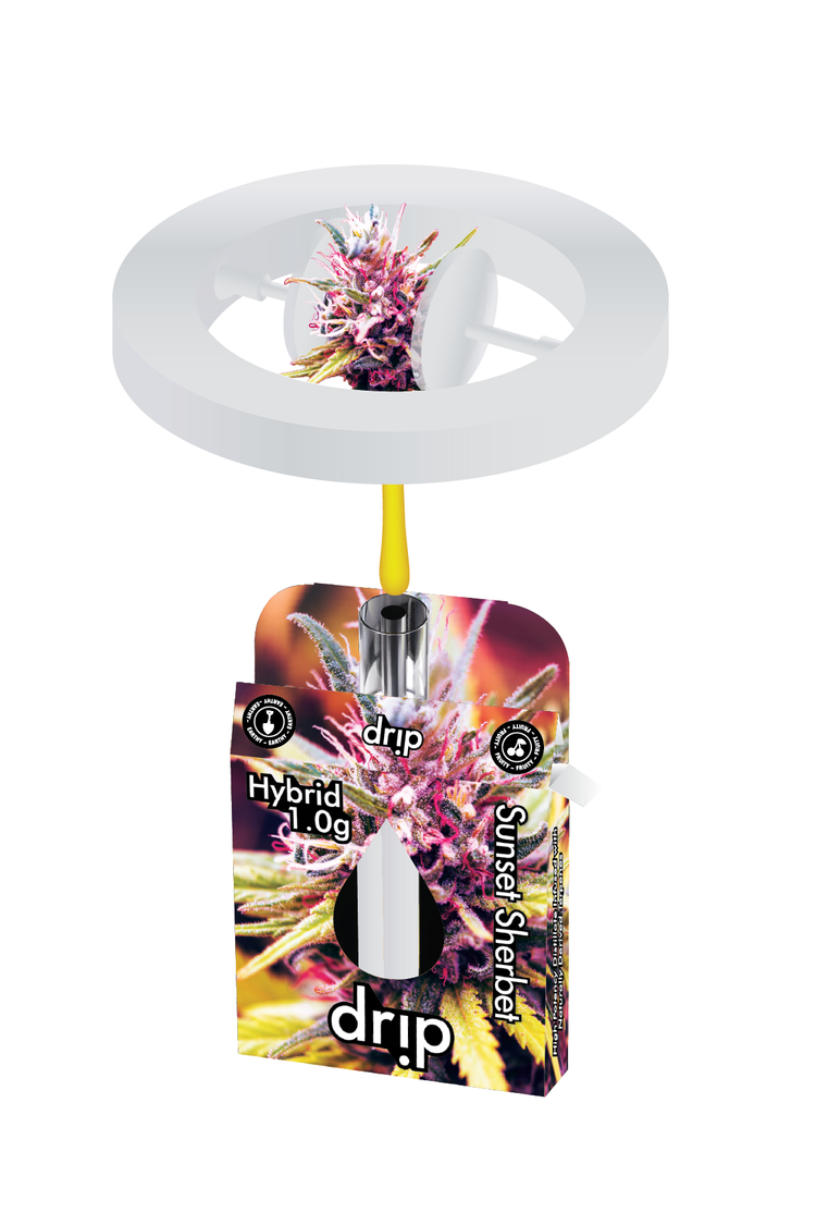 Photograph of product: Drip - 1g Cartridge - Sunset Sherbert (Hybrid)