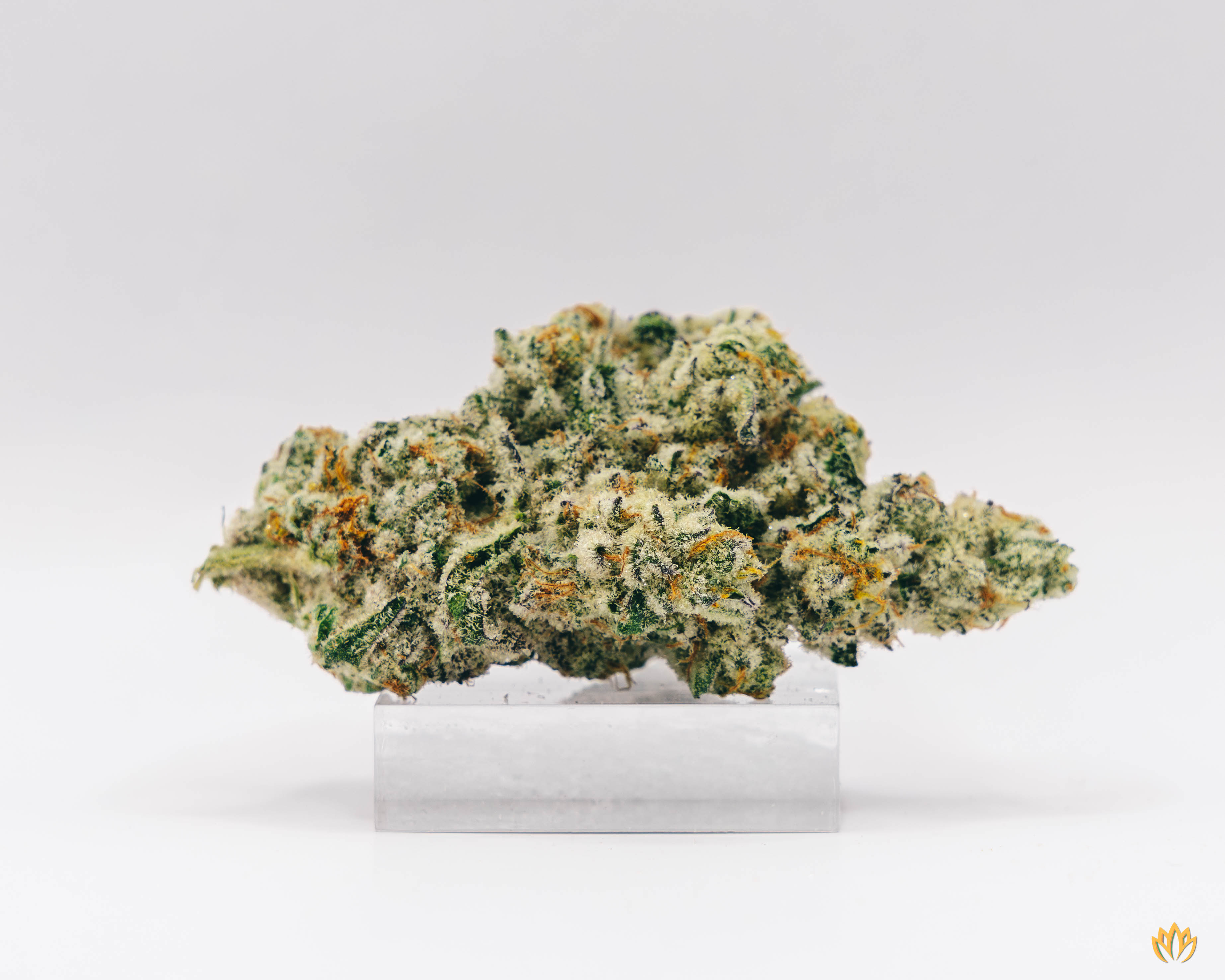 Photograph of product: Cap Junky - 1g