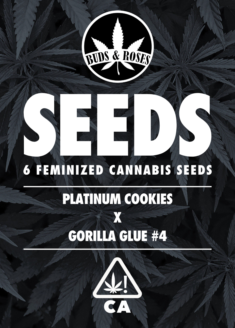 Photograph of product: 6pk Fem Seeds - Gorilla Glue #4 x Platinum Cookies