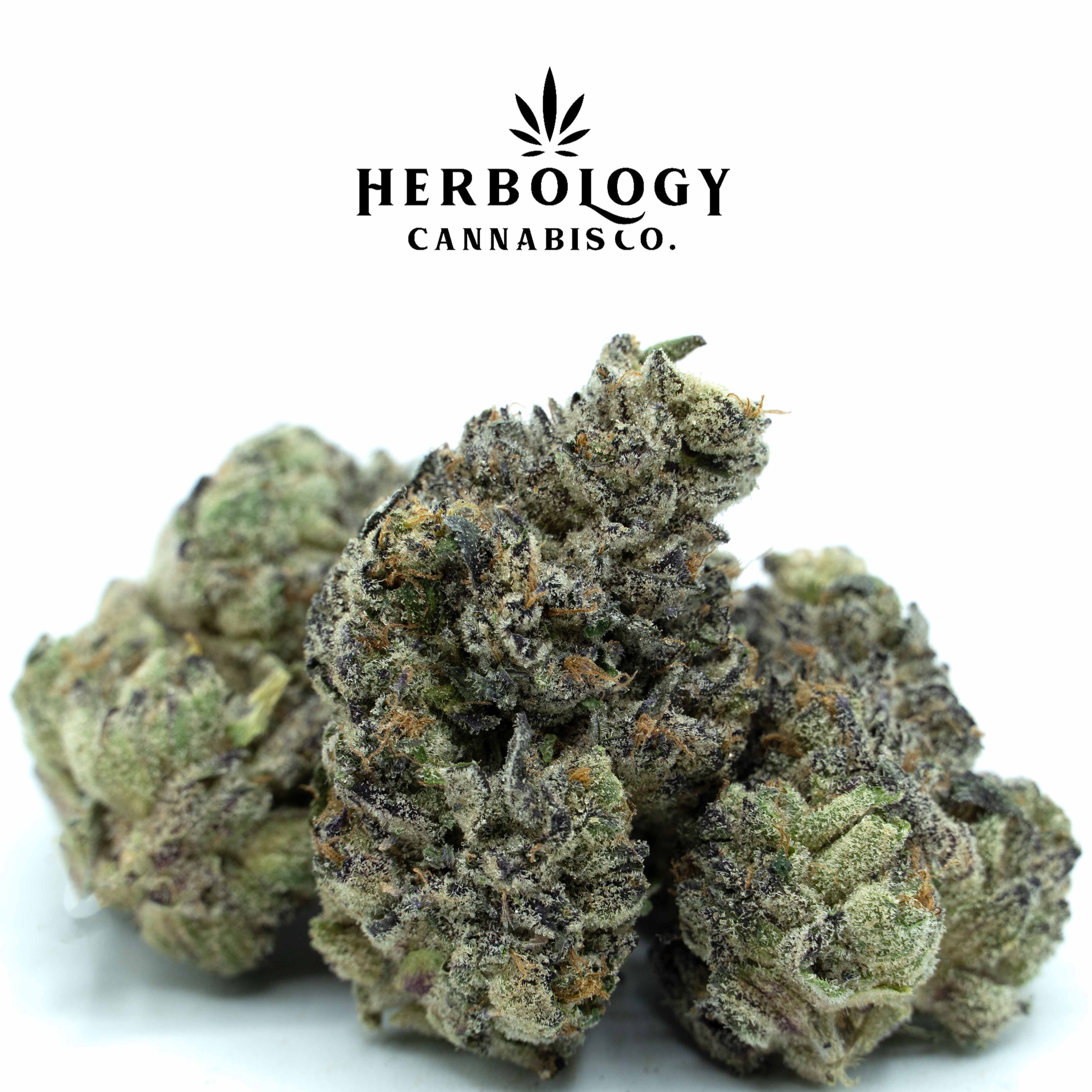 Photograph of product: Pro Gro | Pure Runtz | Deli - 28g