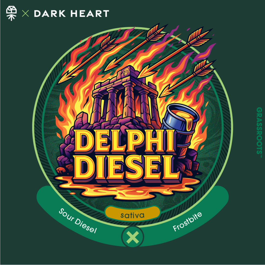 Photograph of product: Delphi Diesel | Flower Littles - 14g