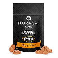 Photograph of product: 10ct/10mg Live Rosin Troches (Tropical Blend)