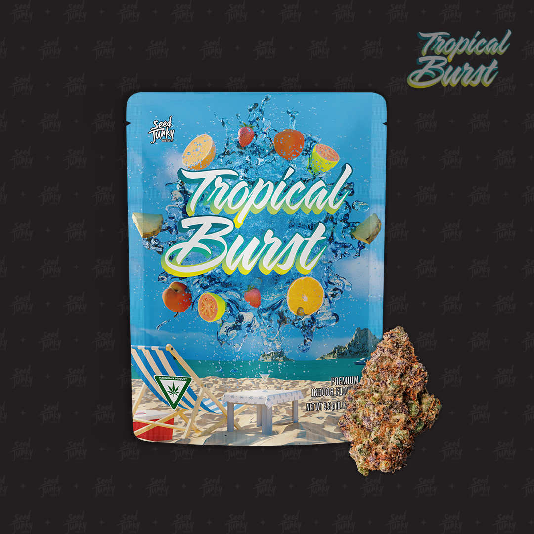 Photograph of product: Seed Junky Tropical Burst Pre-Packed - 3.5g