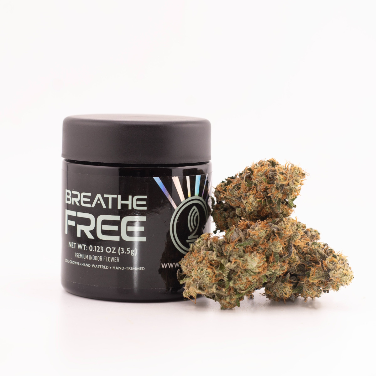 Photograph of product: Grape Popsicle | Premium Buds - 14g