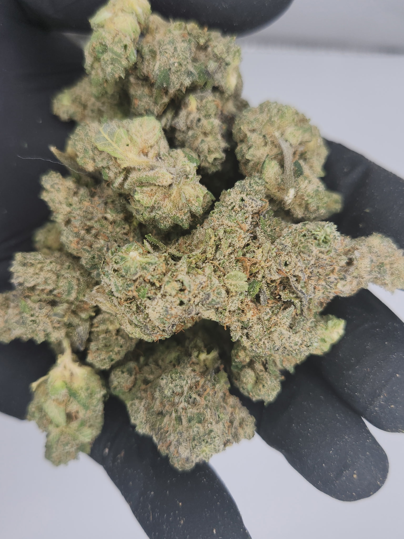 Photograph of product: Denver Cole | Bulk Bud - Drip Station - 28g