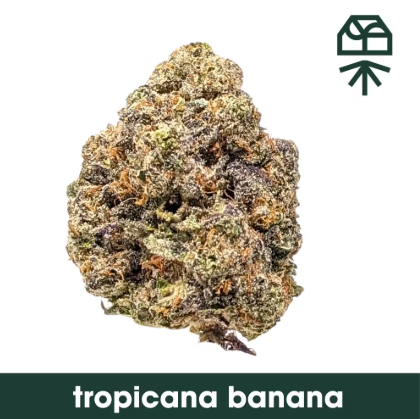 Photograph of product: Tropicana Banana - Smalls - 28g