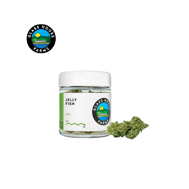 Photograph of product: JELLY FISH 3.5G CBD