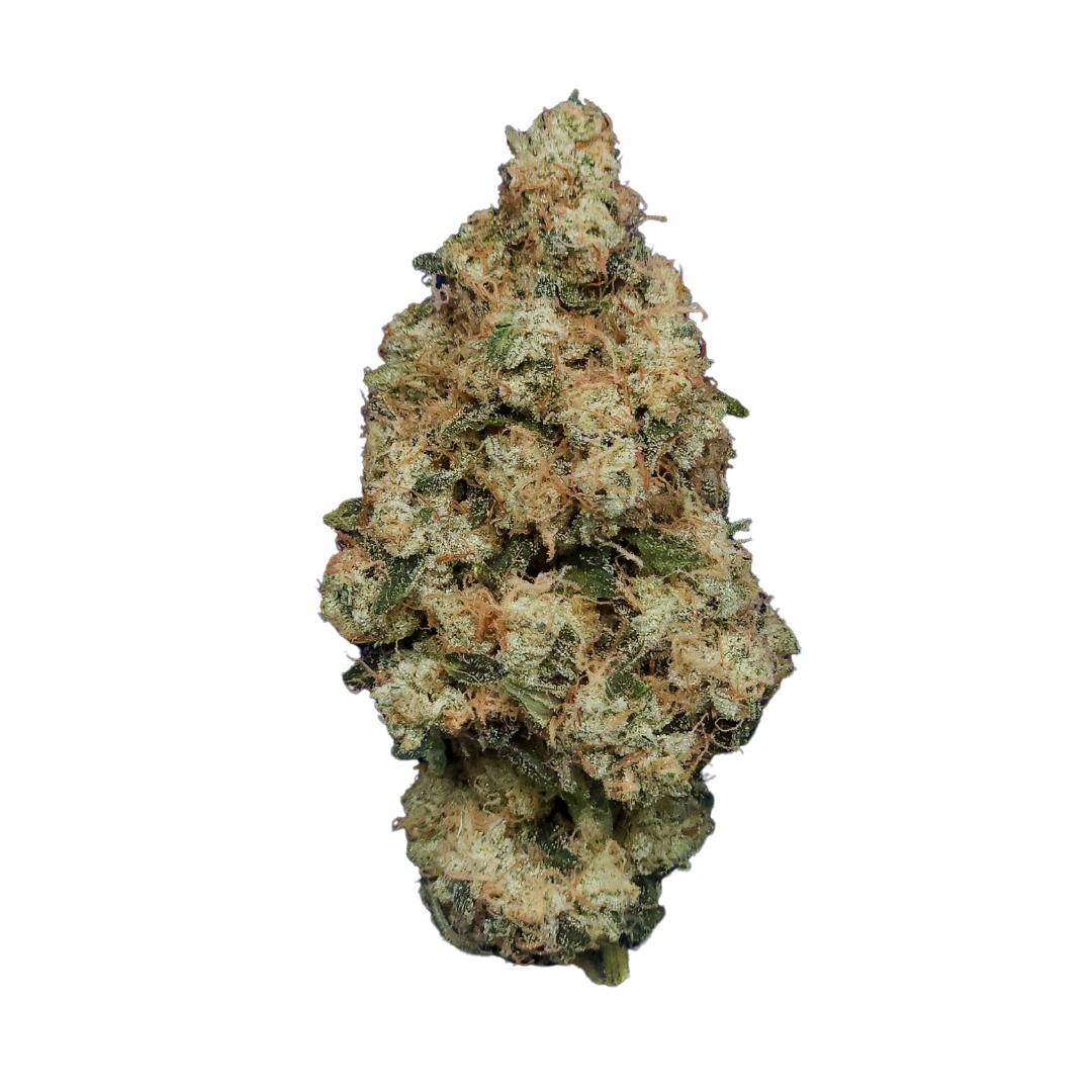 Photograph of product: Ghost Dawg | Flower | 3.5g