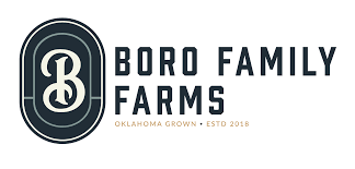 Photograph of Product: Boro Family Farms - Live Resin Disposable  - Big Bubblez