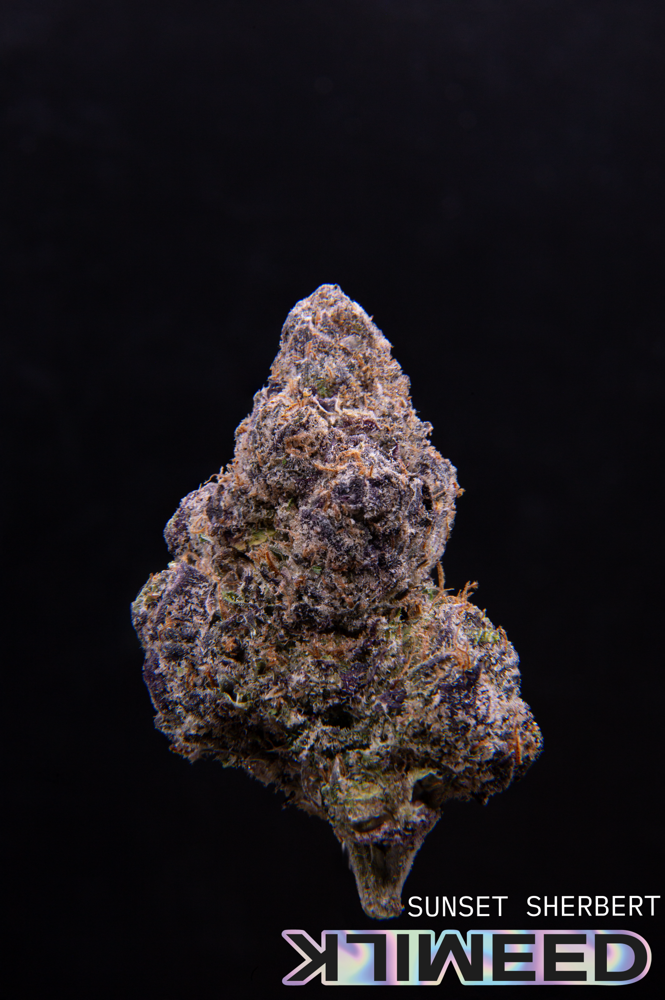 Photograph of product: Sunset Sherbert | Indoor Micro Cultivated - 7g