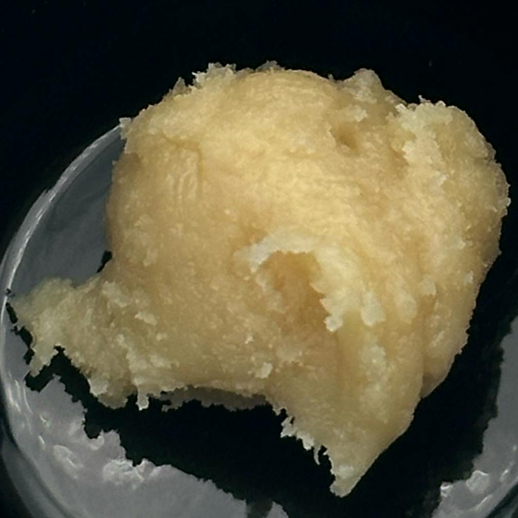 Photograph of product: SGB x Root & Bloom | White Burgundy 1g Live Rosin Concentrate