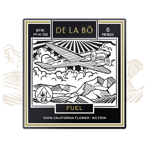 Photograph of product: De La Bo | Slurricane | 6pk