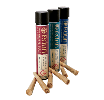Photograph of product: Edun | Infused Preroll 2Pk | Lemon Oreoz + Peanut Butter Breath | H