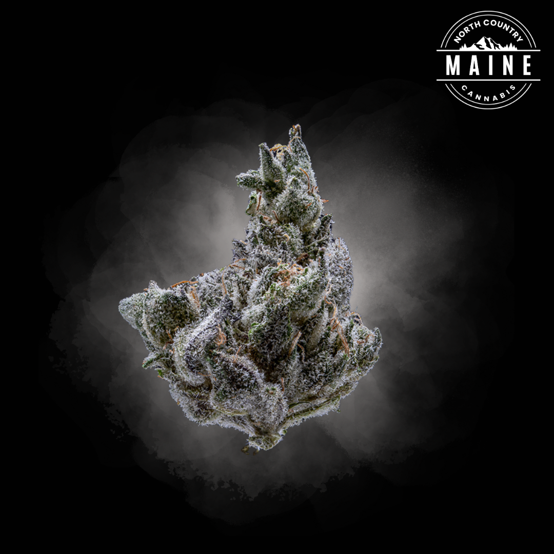 Photograph of product: Han Solo Burger - 3.5g