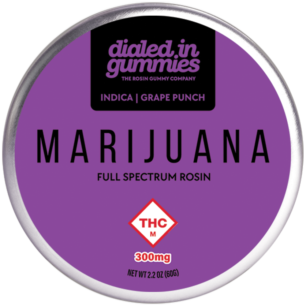 Photograph of product: DIALED IN 300MG GRAPE PUNCH HIGH DOSE ROSIN GUMMIES