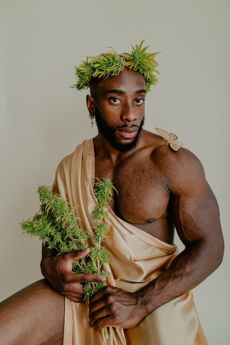 Photograph of product: Art - Canna King