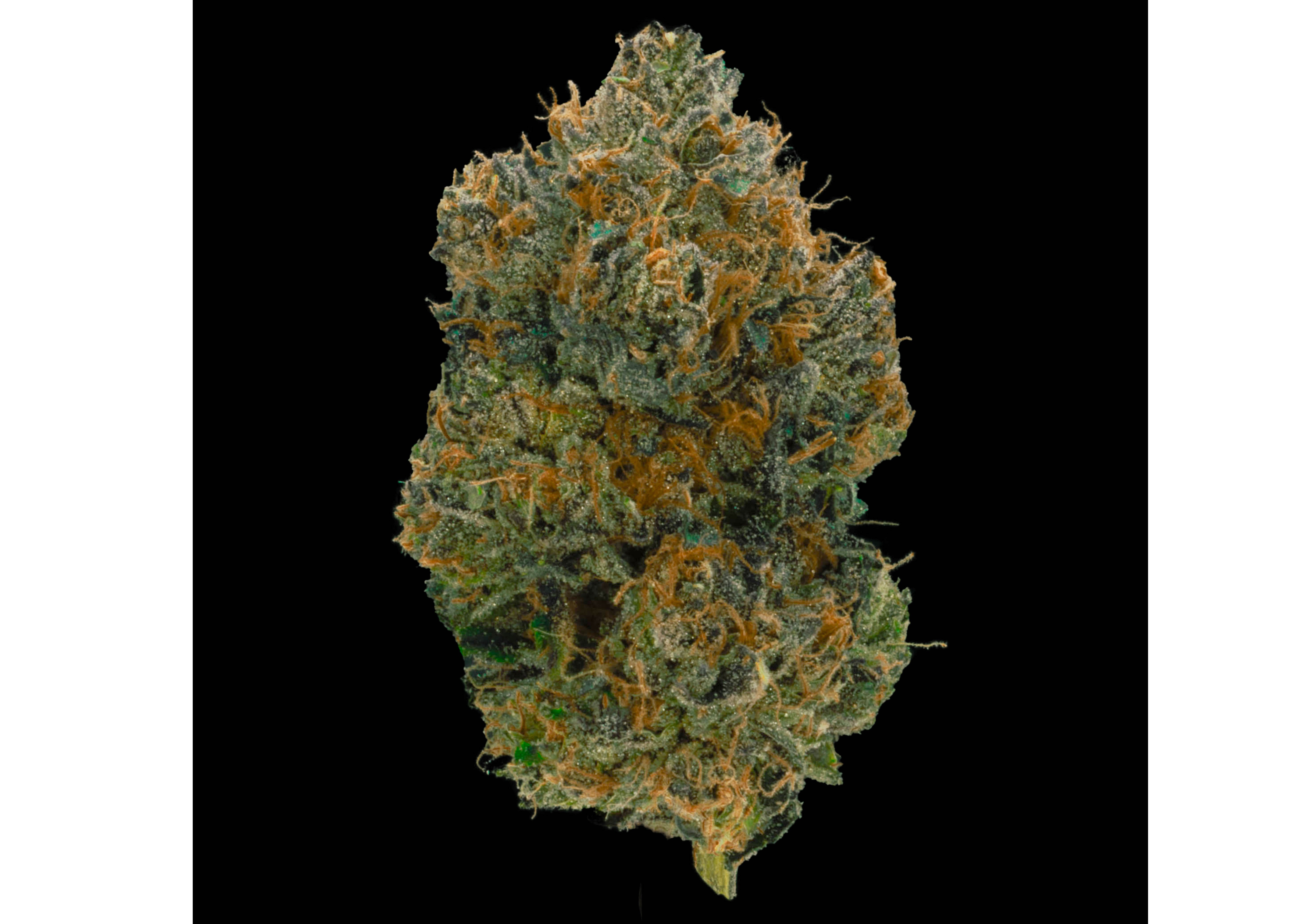 Photograph of product: Flower SFV OG - 28g