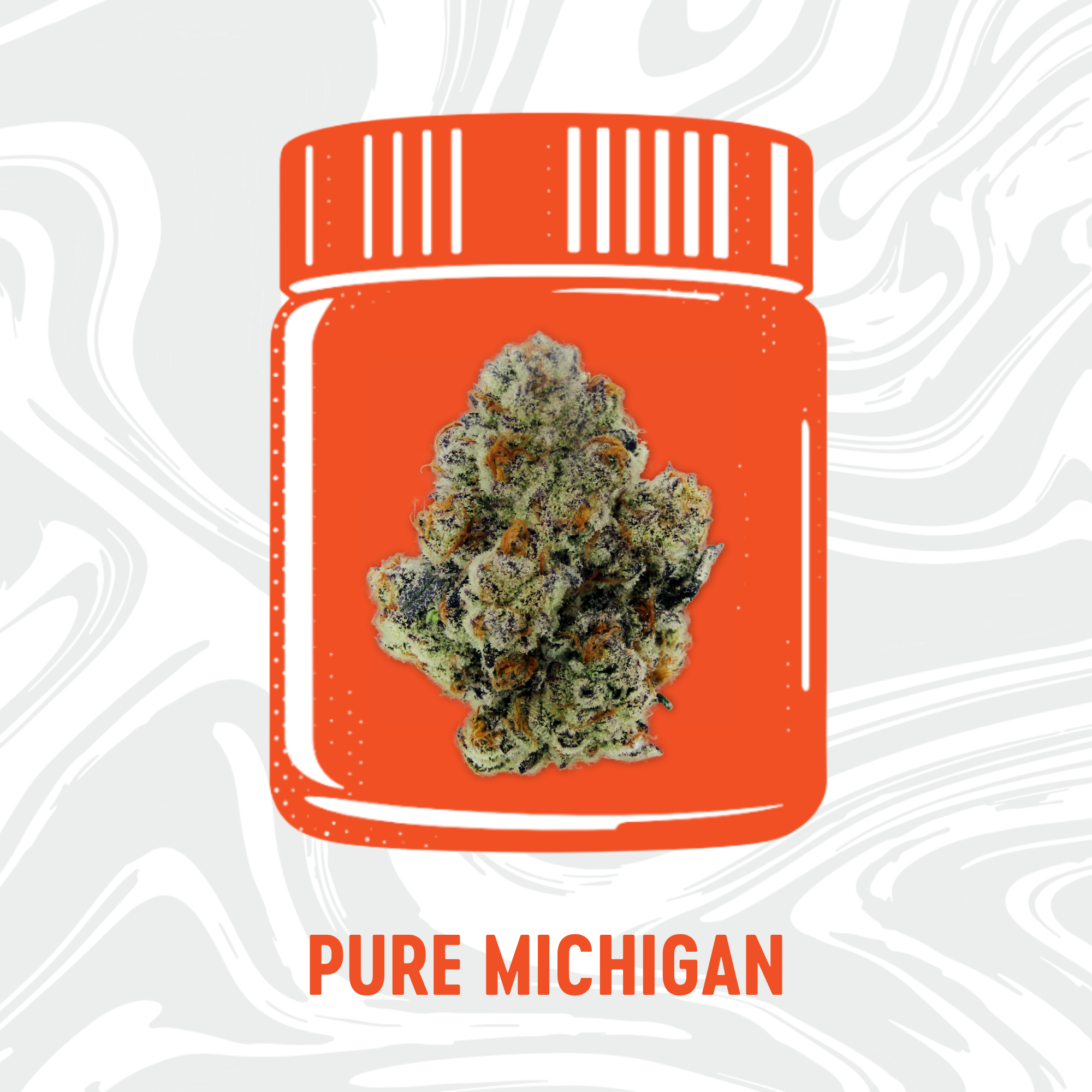 Photograph of product: Vivid -  Pure Michigan - Pre-Packed - 84g