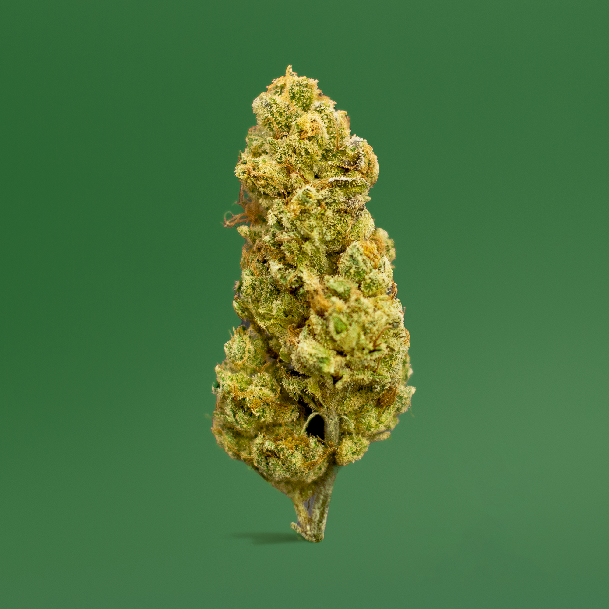 Photograph of product: Honeycomb - Signature Flower - 7g