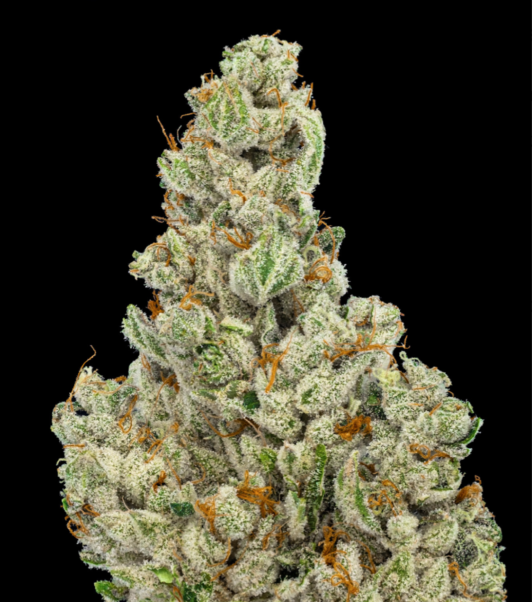 Photograph of product: Animal Face Mints #2 1/8 Prepack - 14g