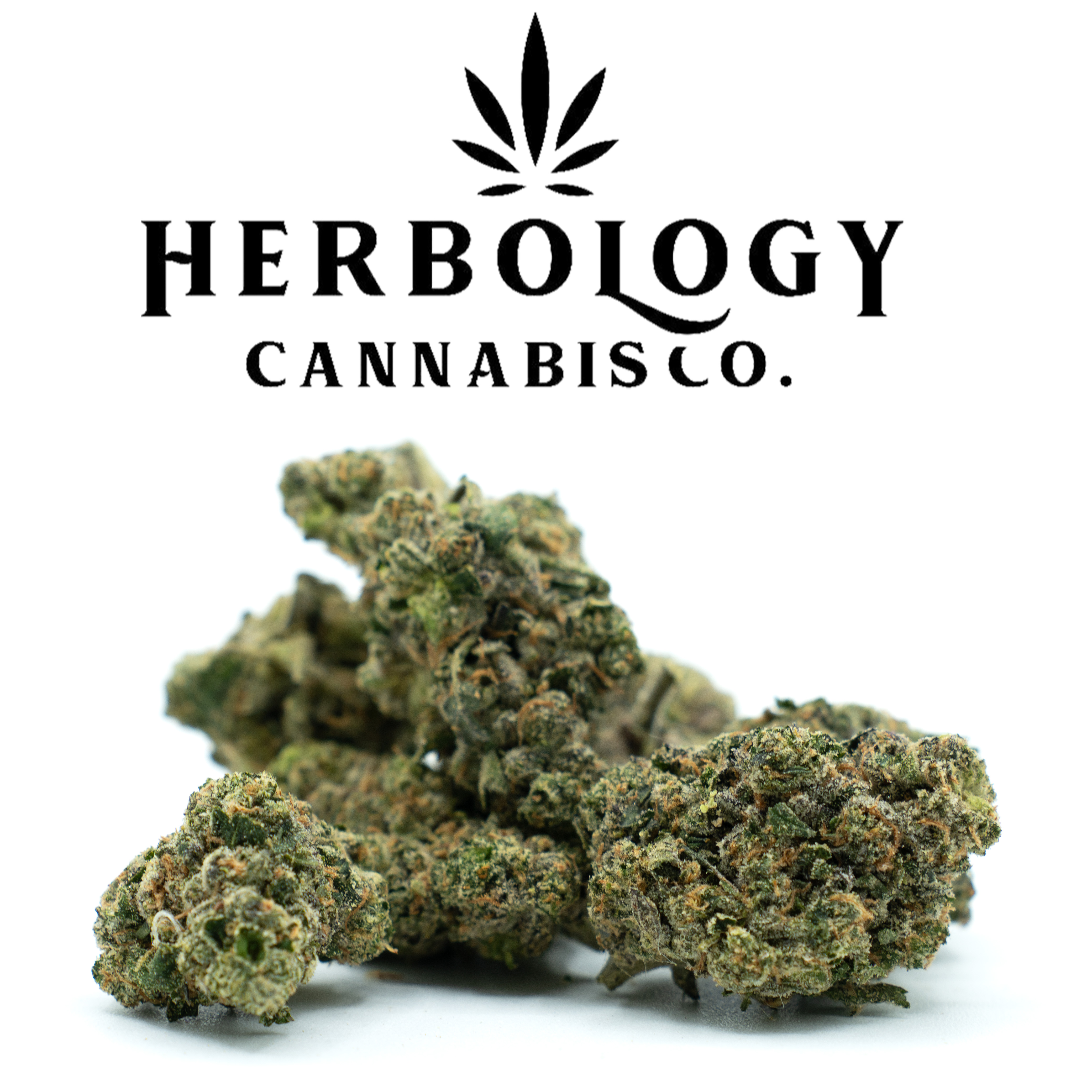 Photograph of product: Owners Club Canna | Sugar Rush | Deli - 28g