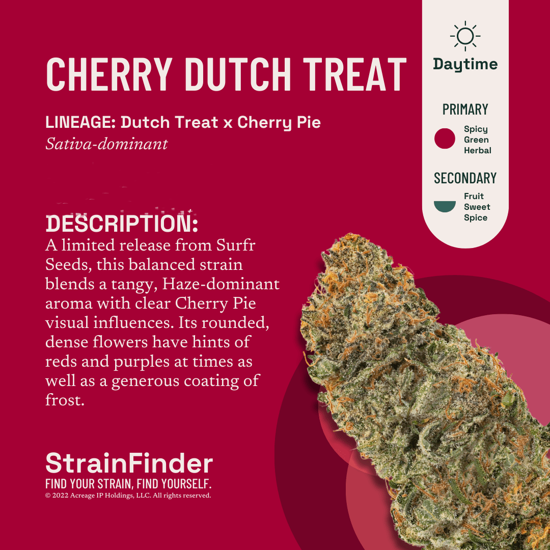 Photograph of product: The Botanist - Cherry Dutch Treat Pre-Roll - 1g
