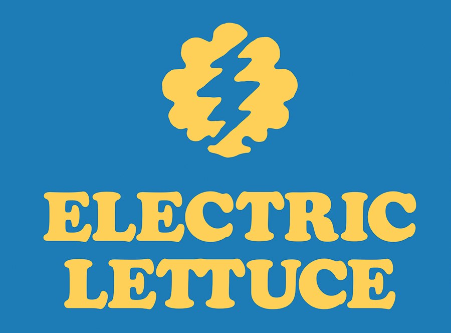 Photograph of product: Electric Lettuce Lighter