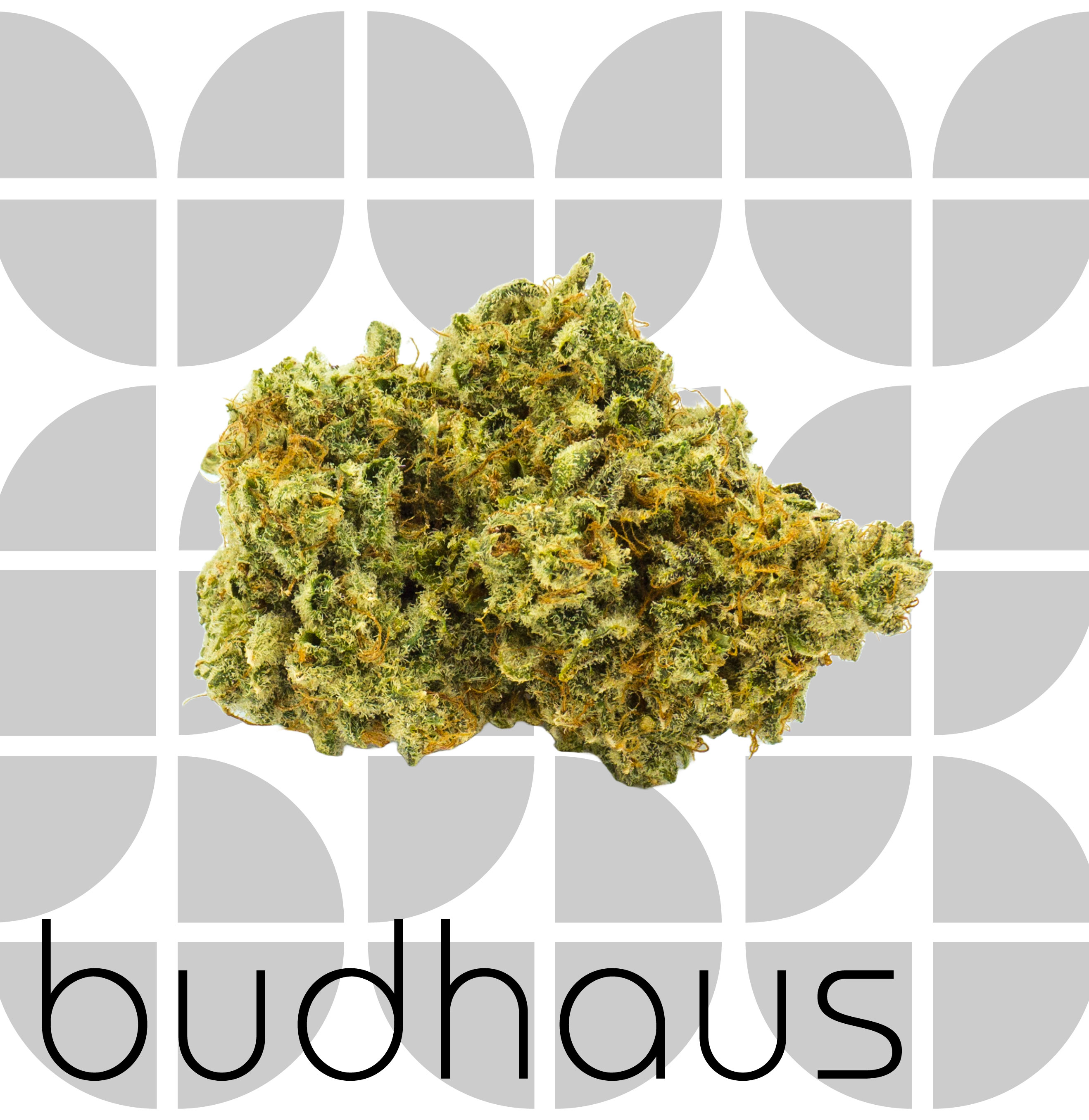 Photograph of product: Sour Rhubarb - Half Ounce - 14g