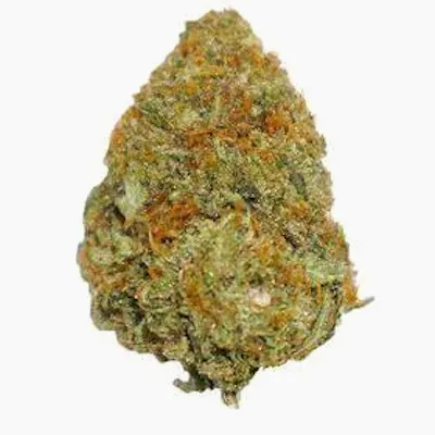 Photograph of product: Creekside Farms | Bulk Flower | Orange Cake - 28g