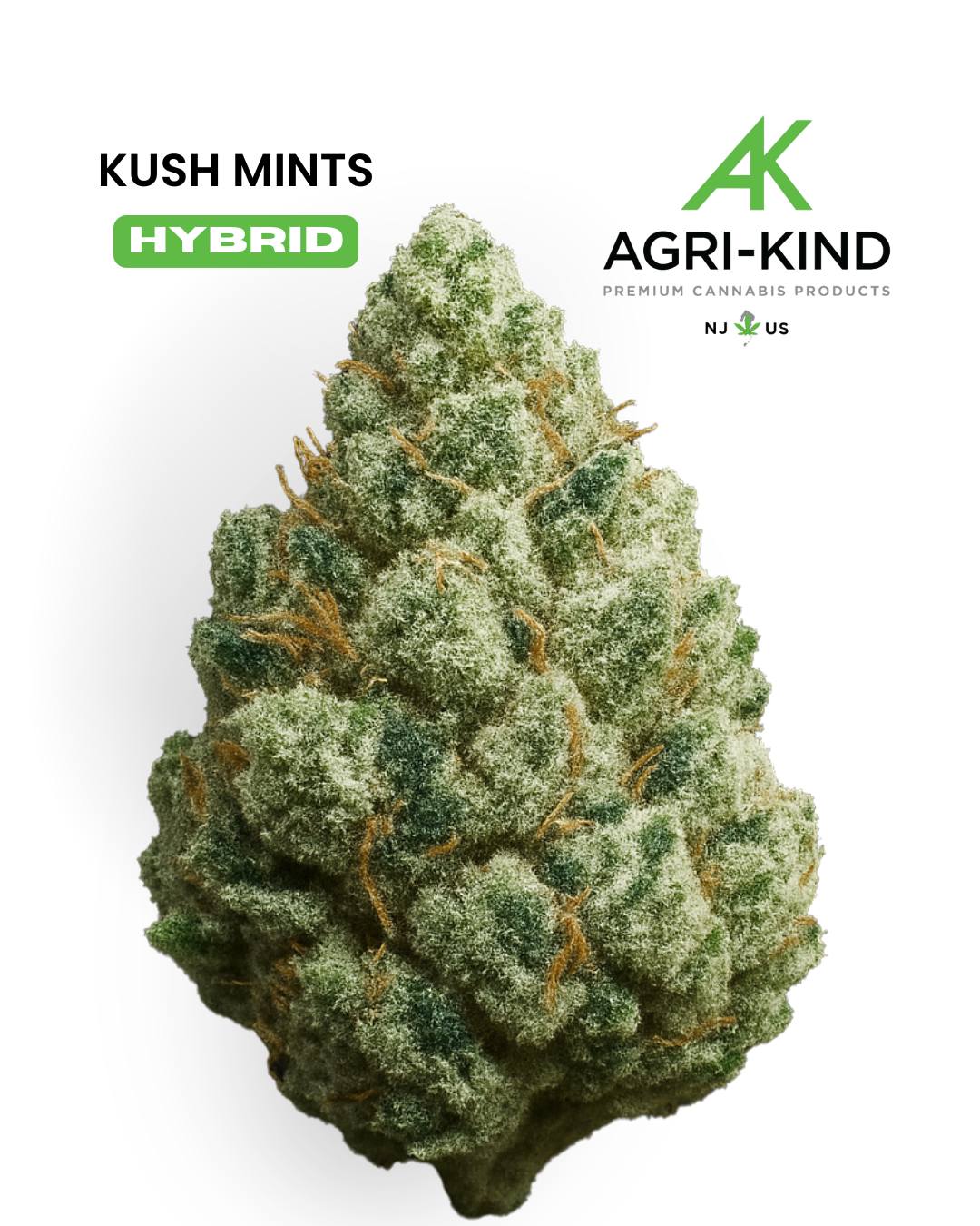 Photograph of product: Kush Mints | Flower | 3.5G