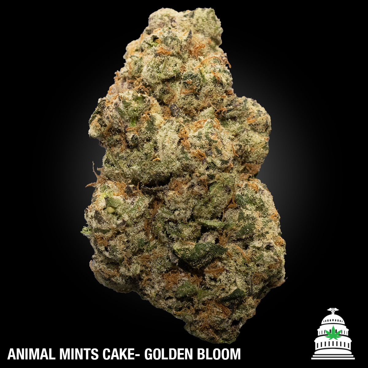 Photograph of product: Animal Mints Cake - Golden Bloom Flower - 28g