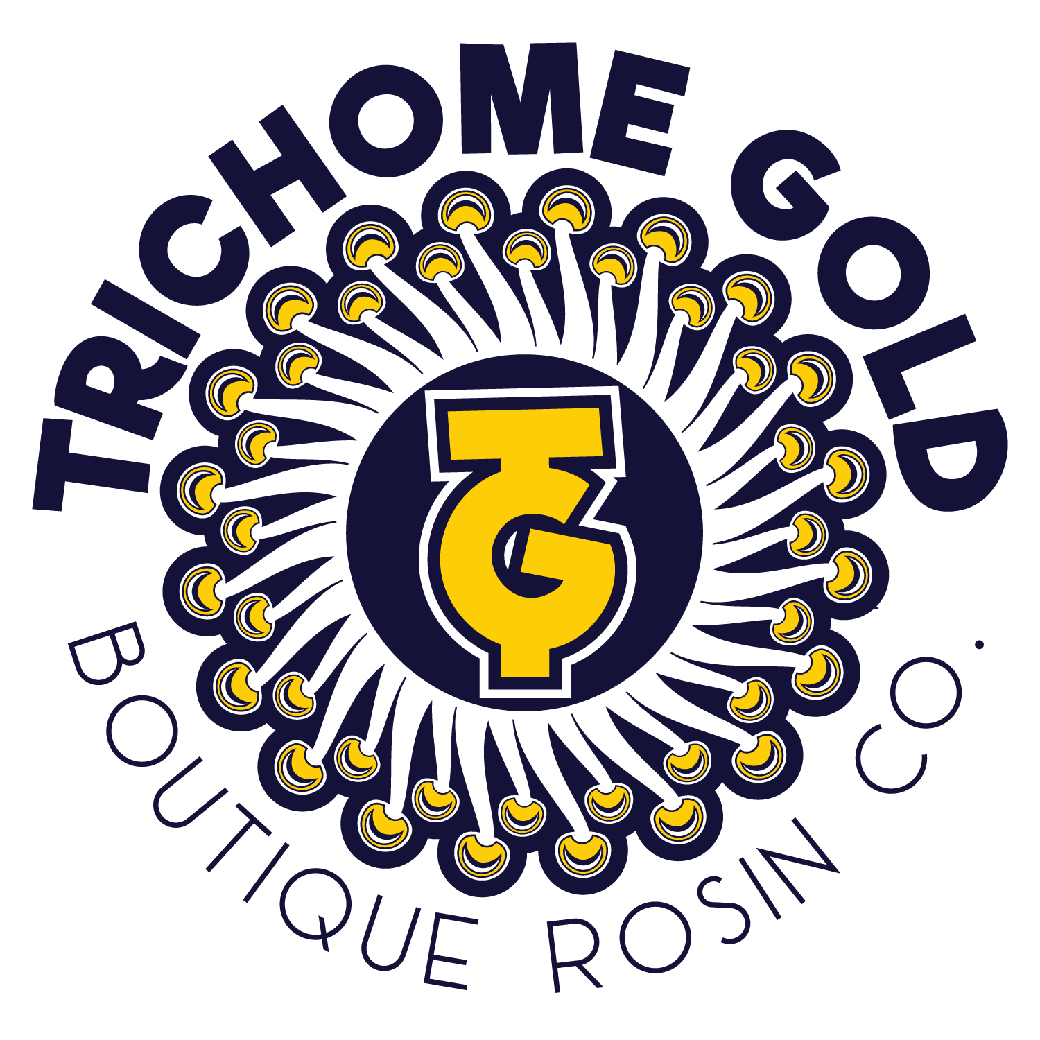 Photograph of product: Z Chem | 1g Live Rosin - 