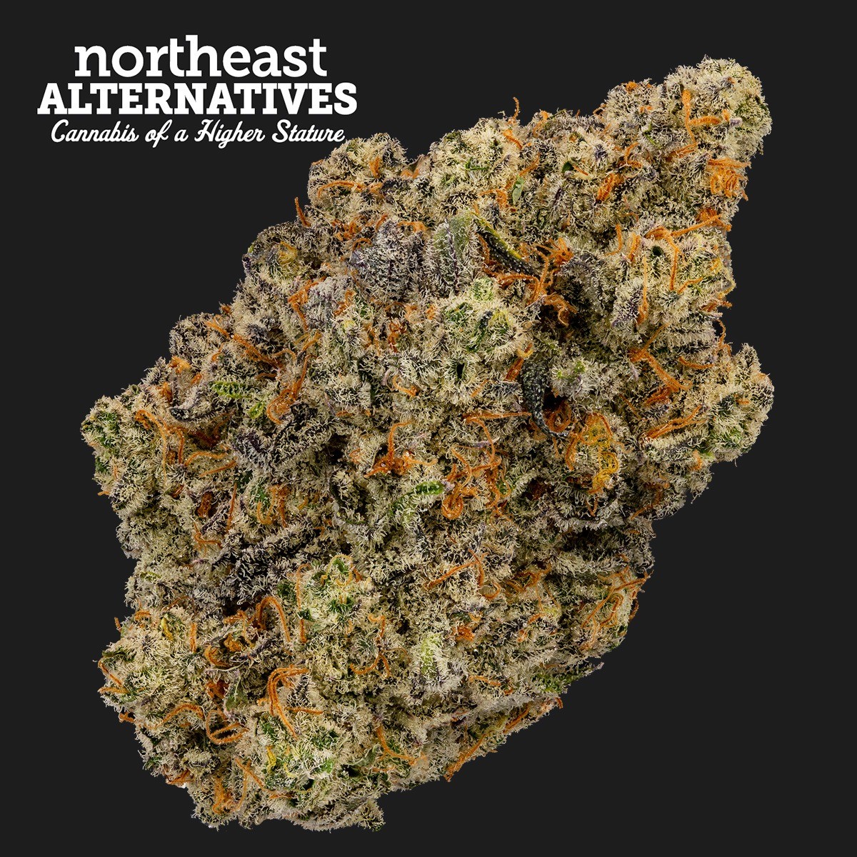 Photograph of product: MAC V2 Strain (smalls) I Flower 3.5g - Thrive